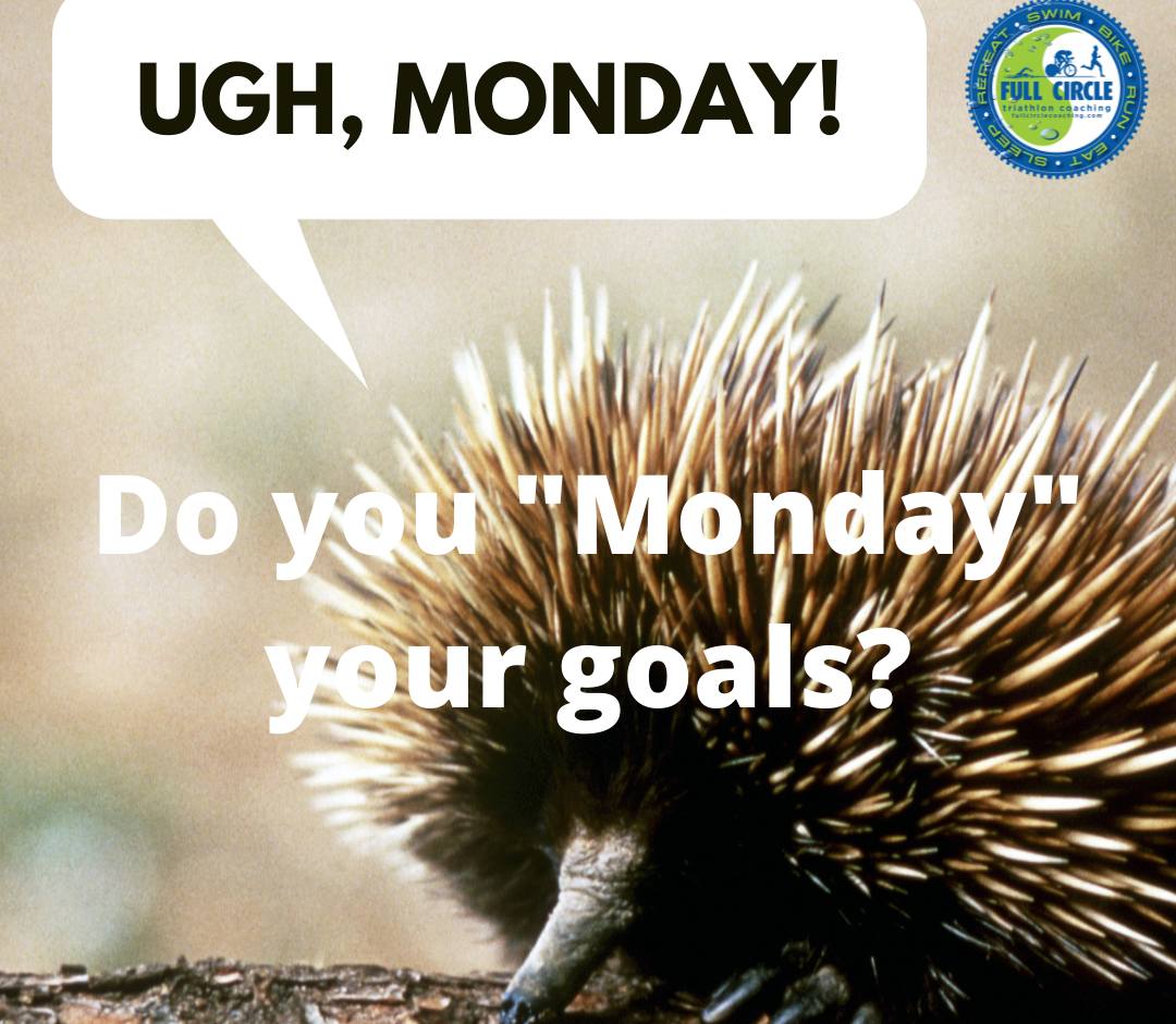 Do you “Monday” Your Goals?