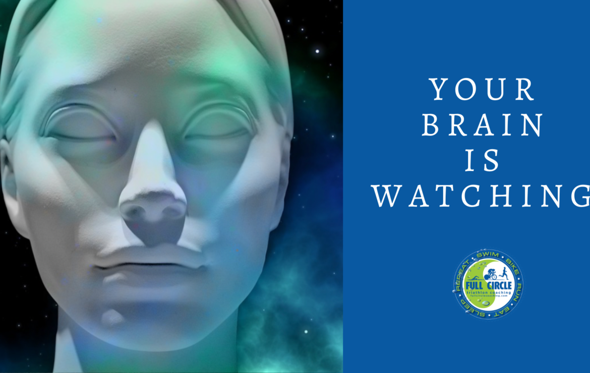 Your Brain is Watching